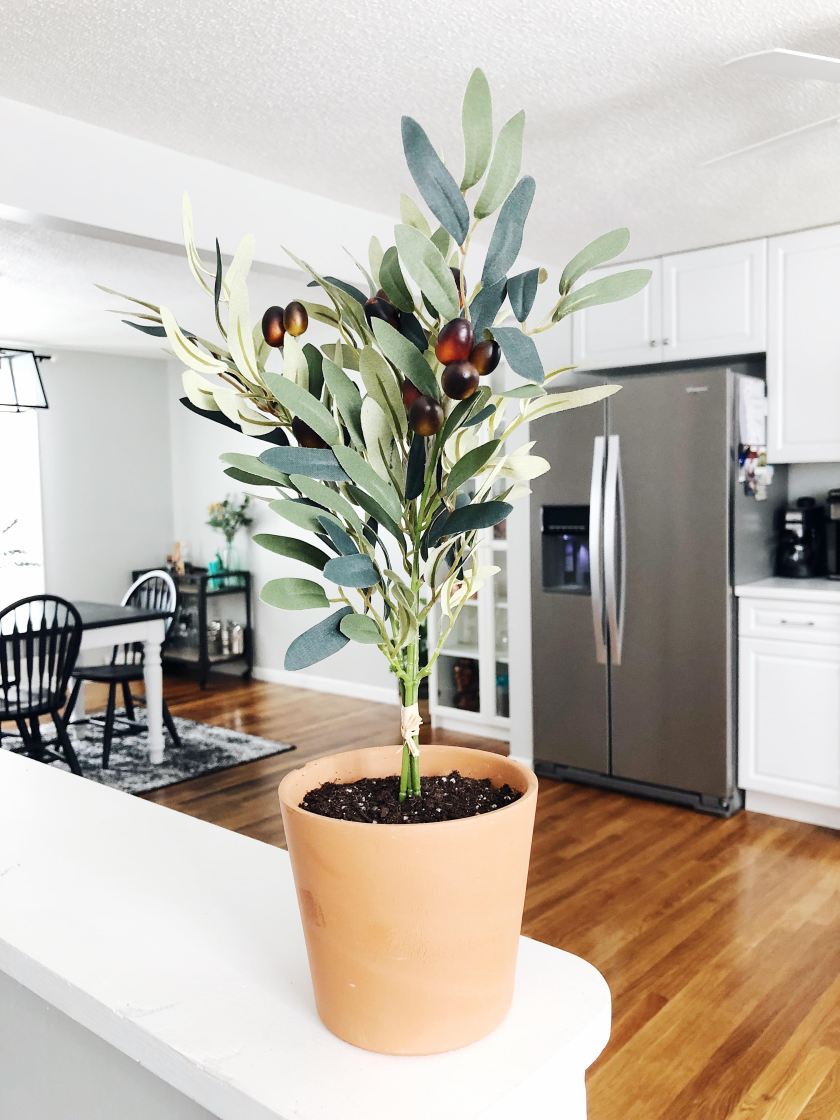 Processed with VSCO with a5 preset