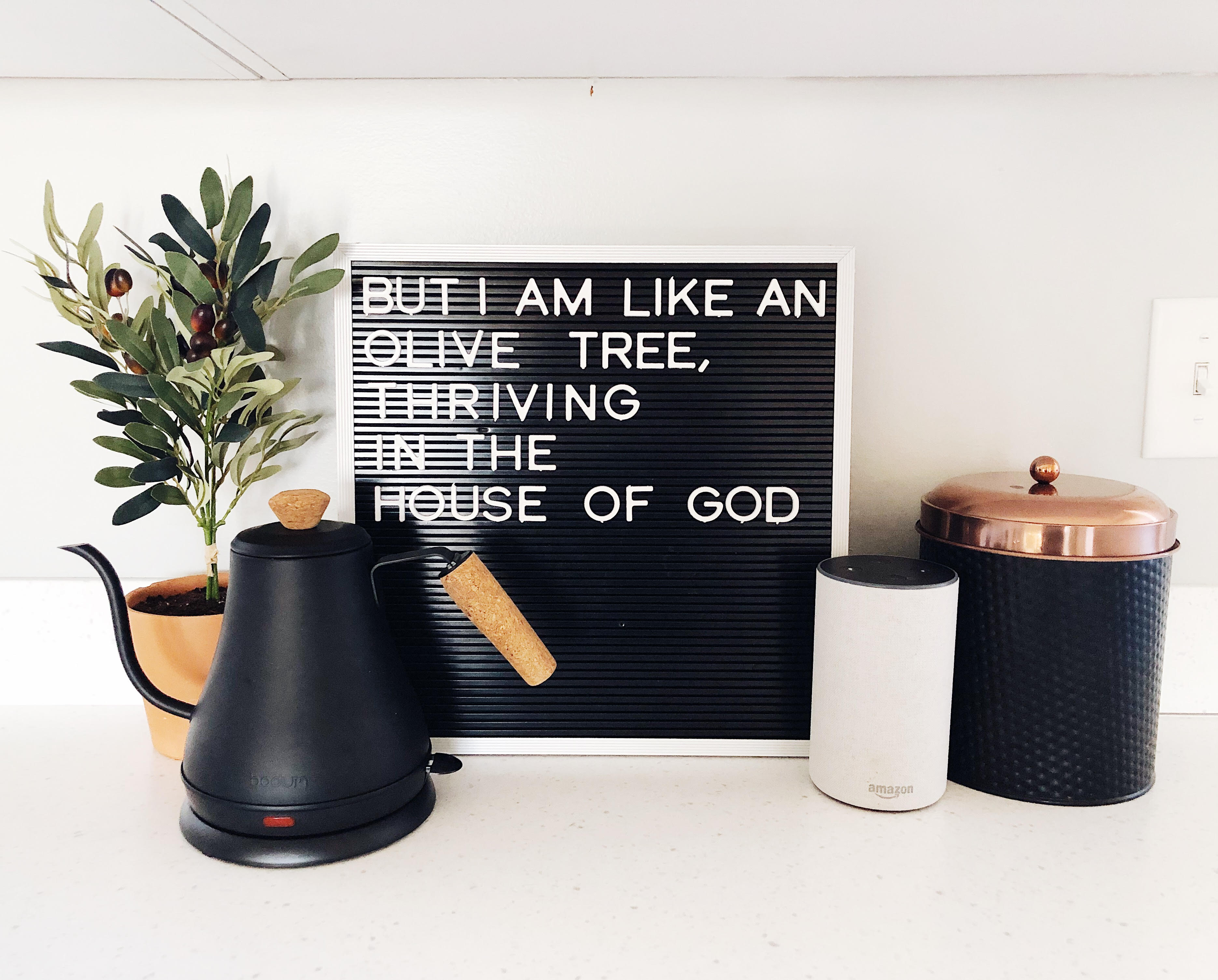 Processed with VSCO with a5 preset